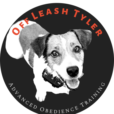 Grant with obedient dogs of different breeds