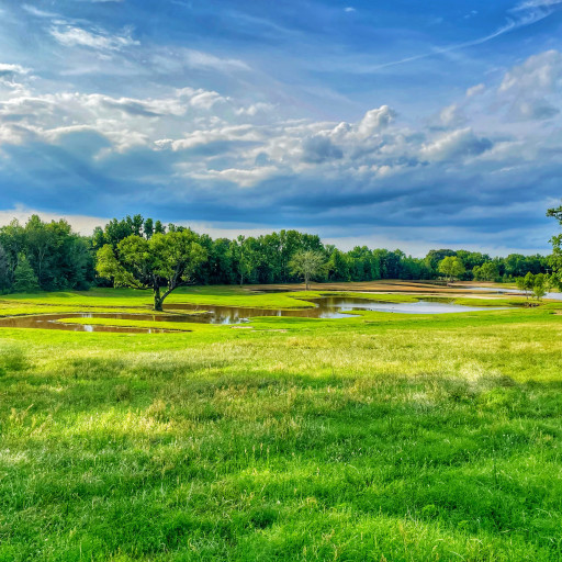 A scenic view of the property